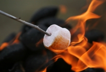 marshmallow_campfire.jpg